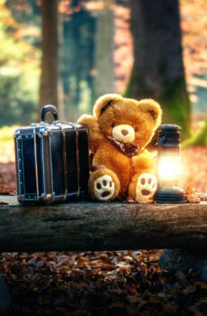 Teddy Bears